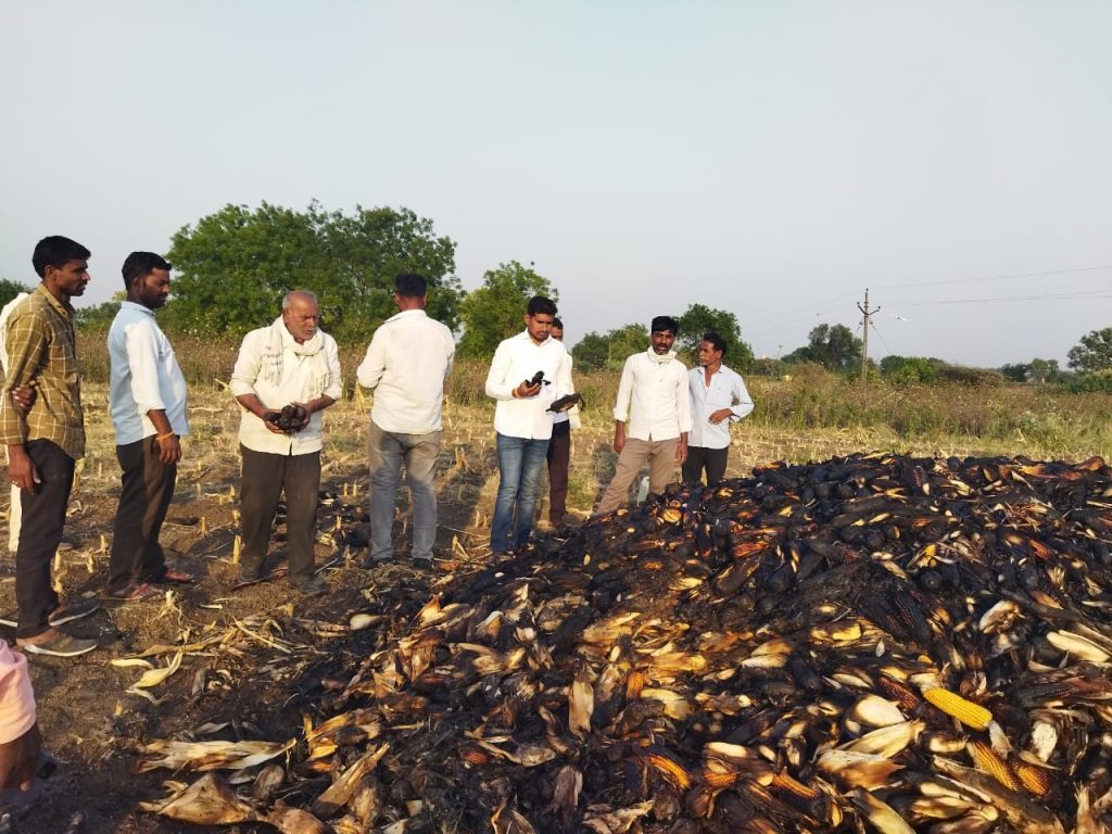 नळणी येथील शेतकरी रावसाहेब धोंडीबा वराडे यांच्या जळालेल्या मक्का गंजीची पाहणी करताना उपतालुकाप्रमुख अर्जुन ठोंबरे.