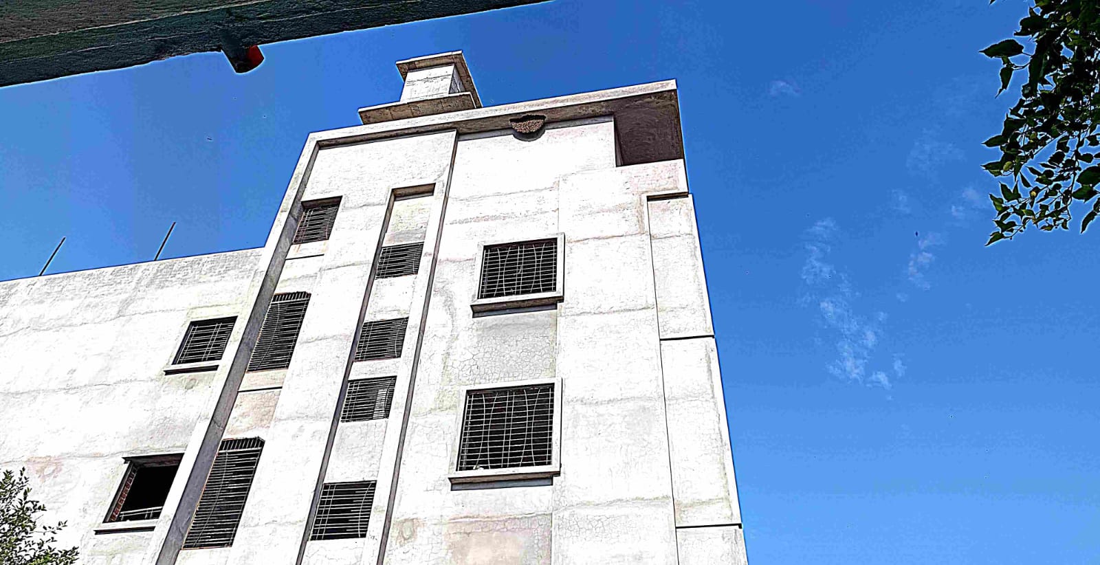 इमारतीच्या चौथ्या मजल्यावर असलेले धोकादायक आग्या मोहोळ.